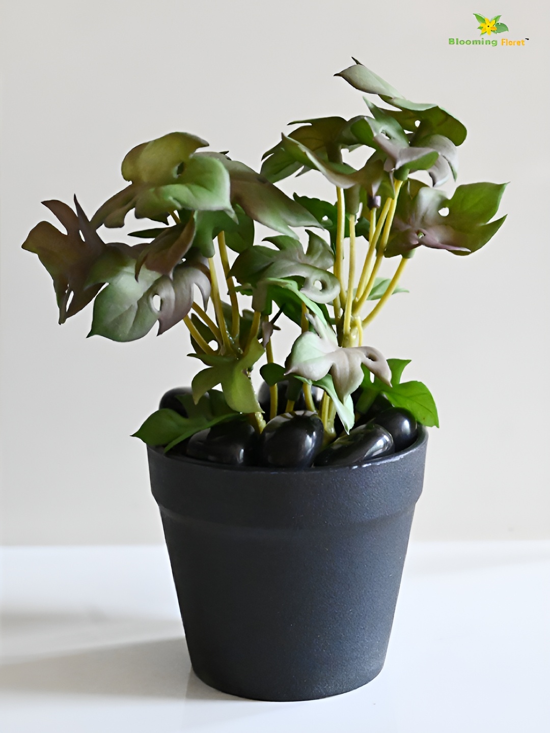 

Blooming Floret Green & Black Monstera Deliciosa Artificial Plant With Pot
