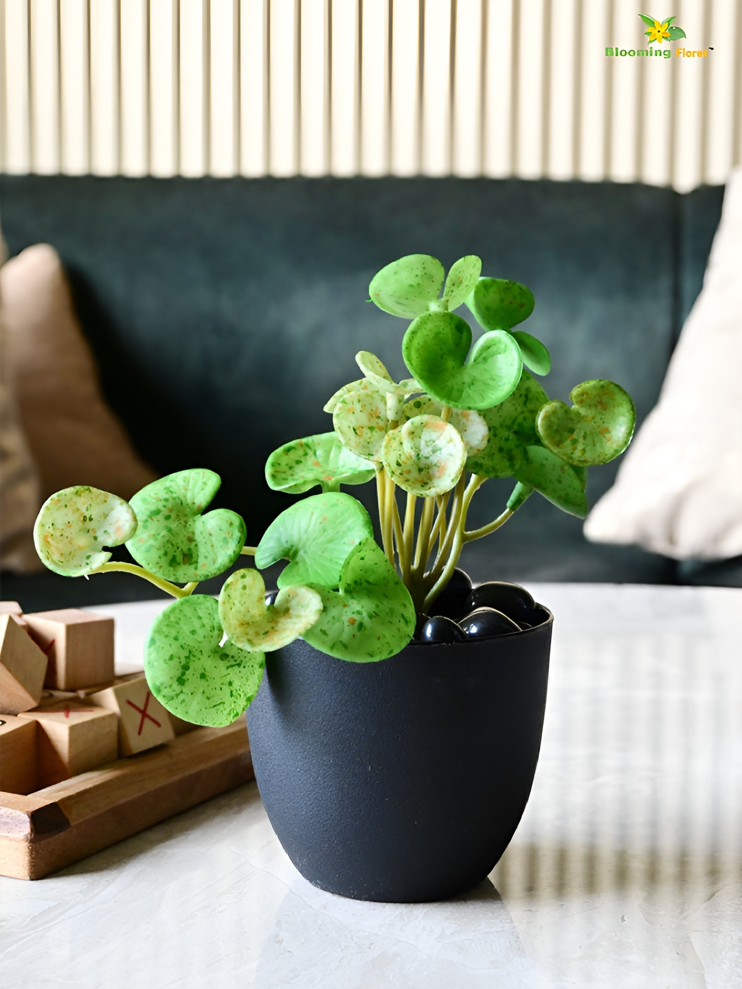 

Blooming Floret Green & Black Hydrocotyle Vulgaris Artificial Plant With Pot