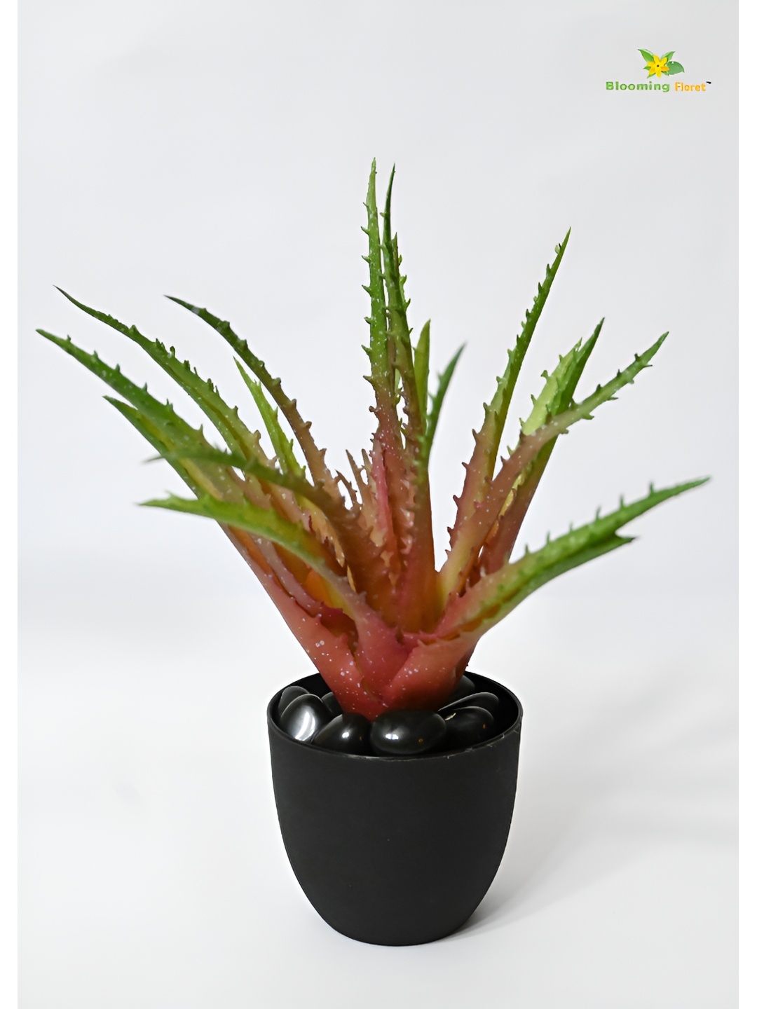 

Blooming Floret Green & Black Aloe Vera Artificial Plant With Pot