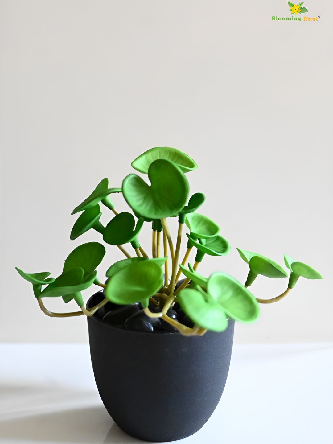 

Blooming Floret Green & Black Hydrocotyle Vulgaris Artificial Plant With Pot