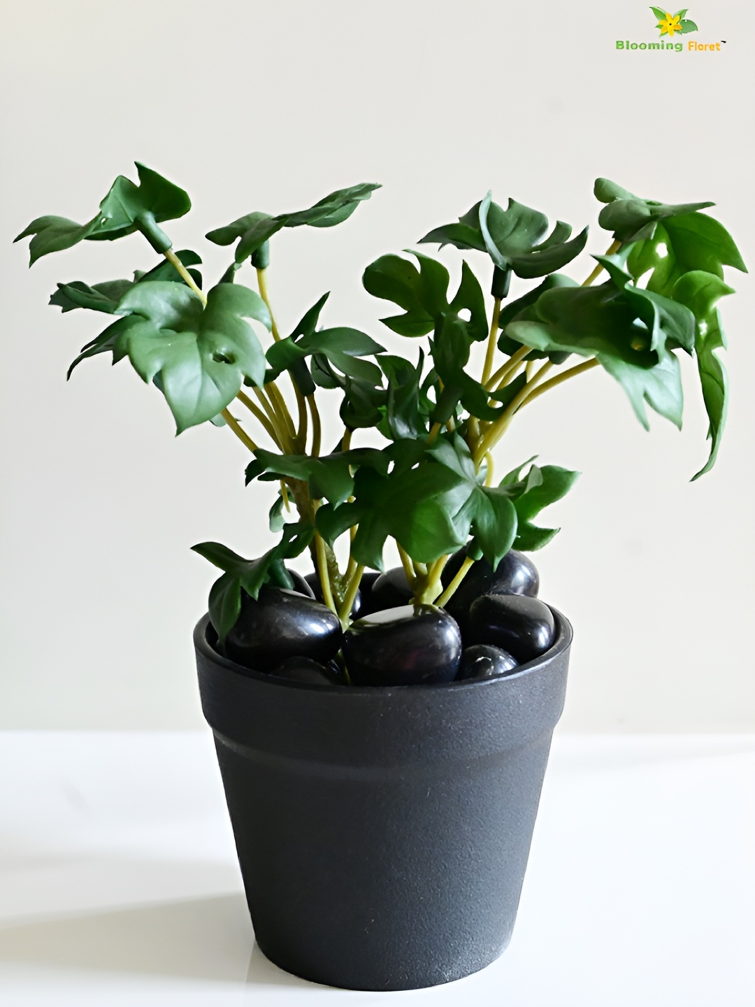 

Blooming Floret Green & Black Monstera Deliciosa Artificial Plant With Pot