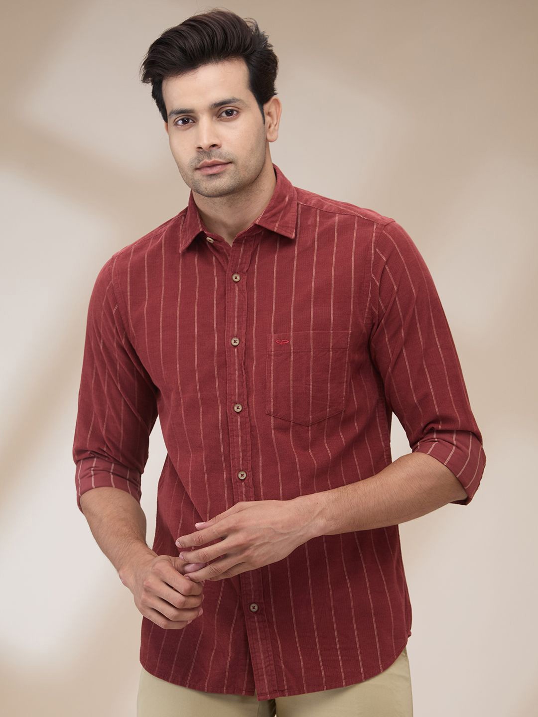 

ColorPlus Men Spread Collar Vertical Striped Cotton Casual Shirt, Maroon