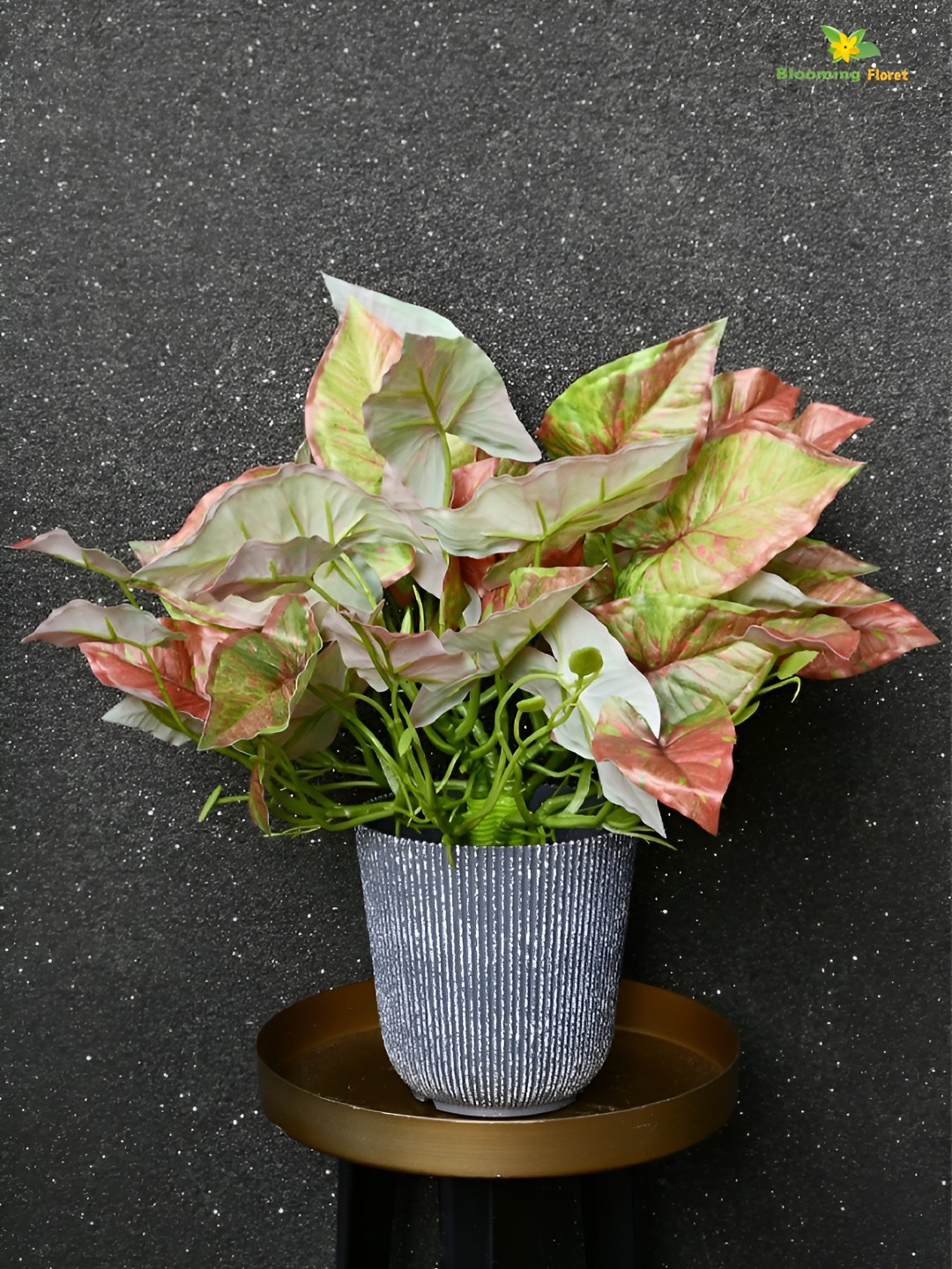 

Blooming Floret Green & Grey Codiacum Artificial Plant With Pot