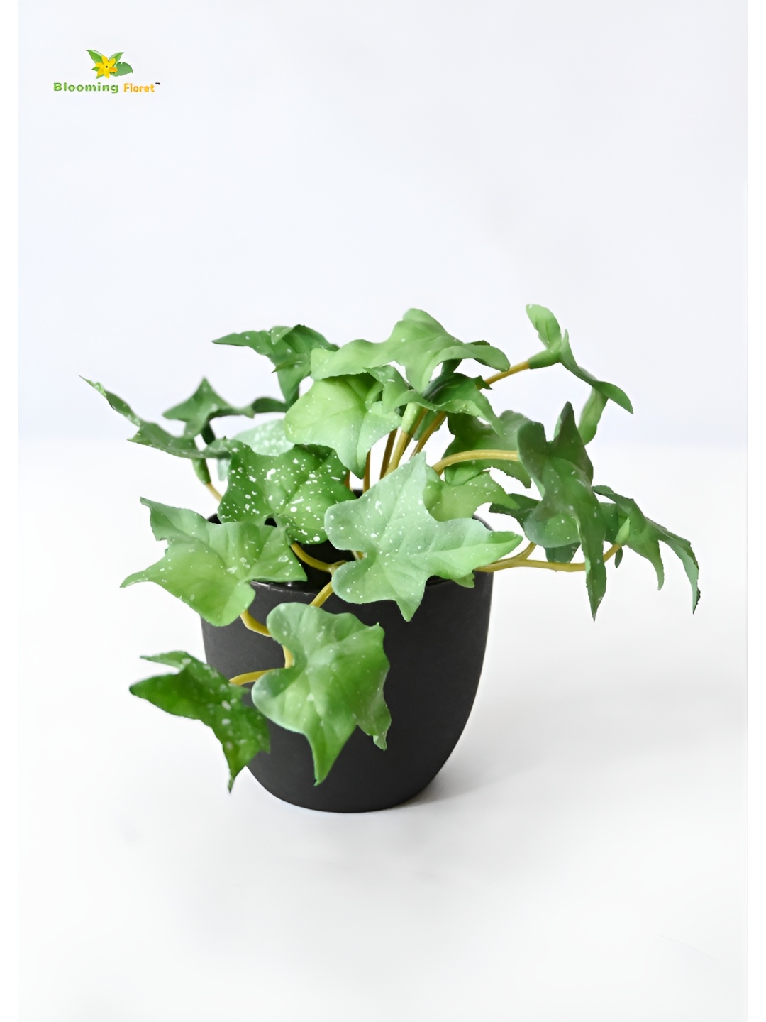 

Blooming Floret Green & Black Ivy Faux Artificial Plant With Pot