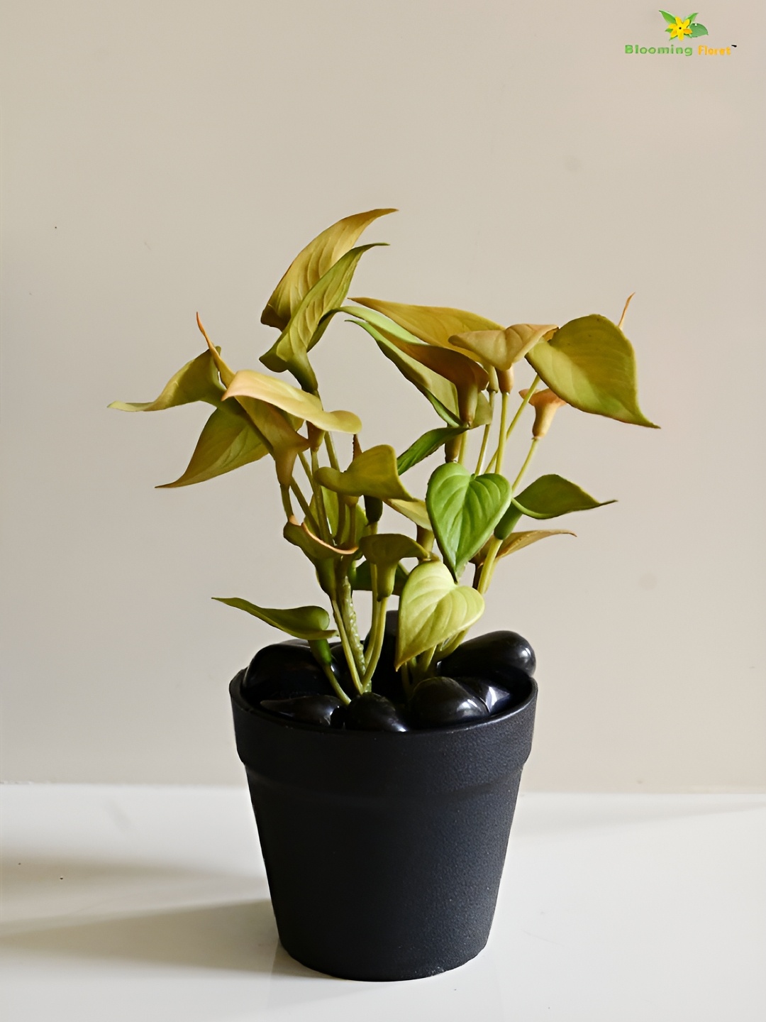 

Blooming Floret Green & Black Money Artificial Plant With Pot