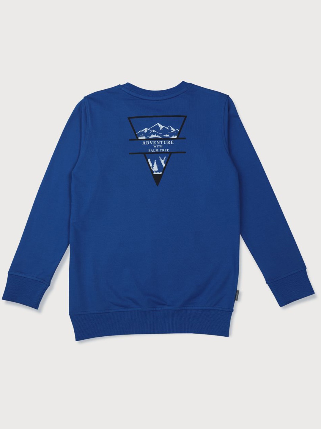 

Palm Tree Boys Graphic Printed Round Neck Cotton Pullover Sweatshirt, Blue