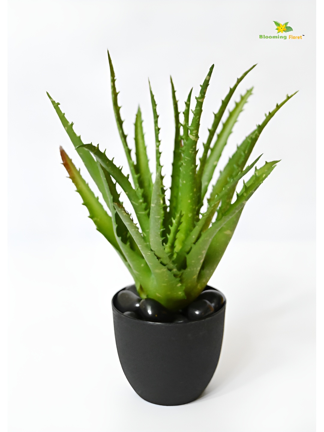 

Blooming Floret Green & Black Aloe Vera Artificial Plant With Pot