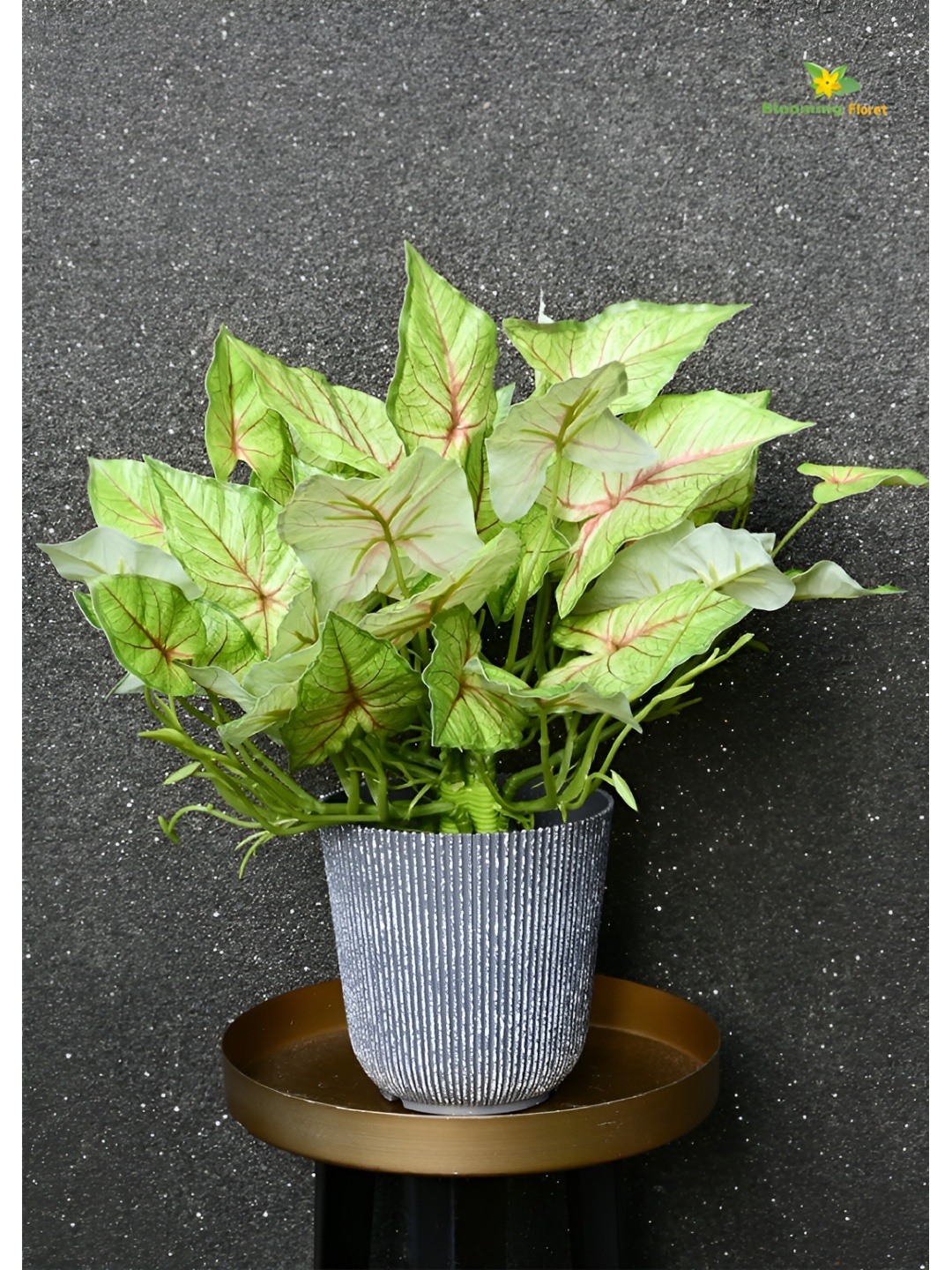 

Blooming Floret Green & Grey Codiacum Artificial Plant With Pot