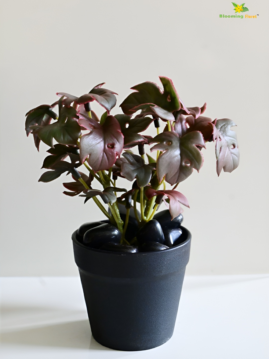 

Blooming Floret Maroon & Black Monstera Deliciosa Artificial Plant With Pot