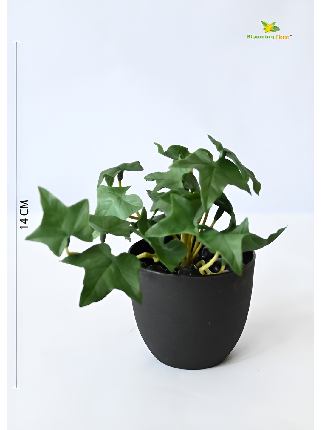 

Blooming Floret Green & Black Ivy Faux Artificial Plant With Pot