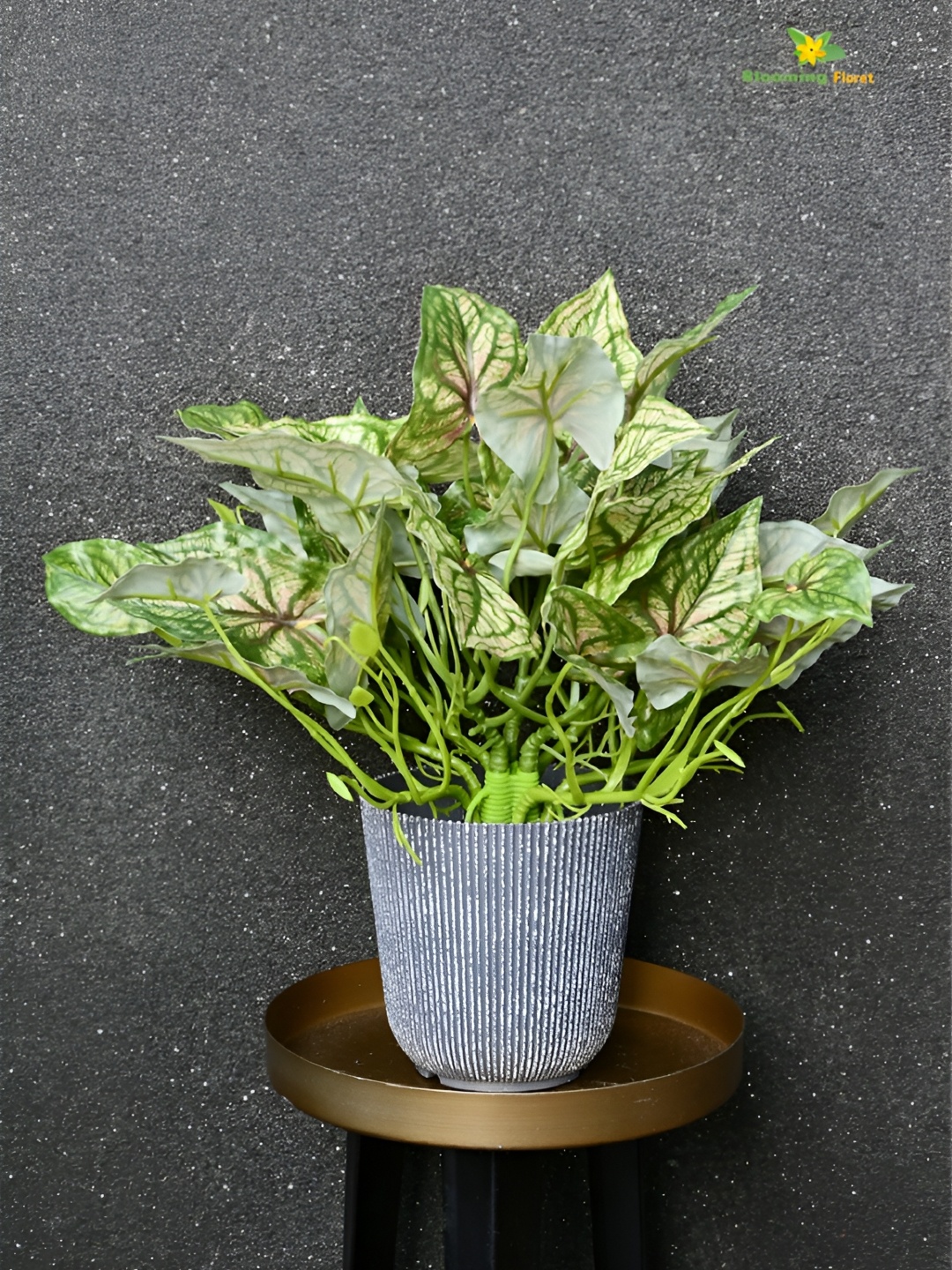 

Blooming Floret Green & Grey Codiacum Artificial Plant With Pot