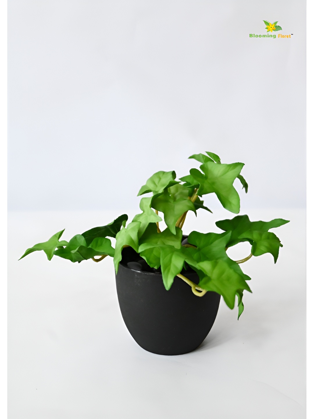 

Blooming Floret Green & Black Ivy Faux Artificial Plant With Pot