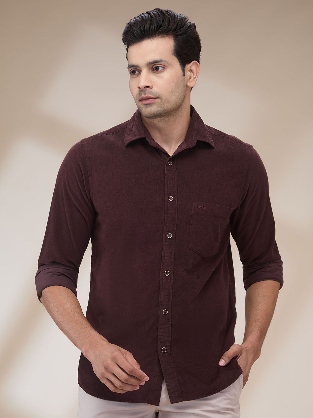 

ColorPlus Men Spread Collar Solid Cotton Casual Shirt, Brown