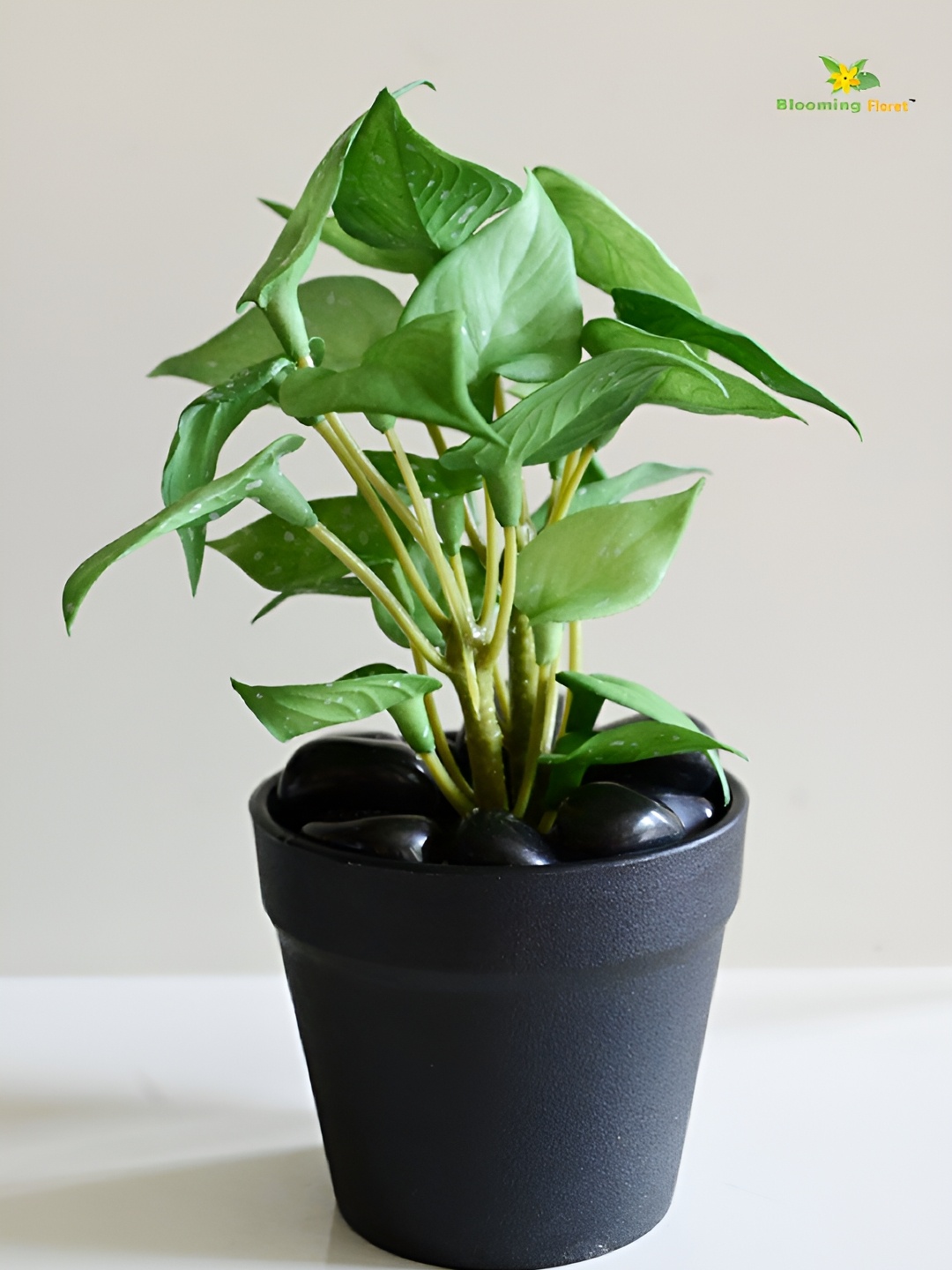 

Blooming Floret Green & Black Money Artificial Plant With Pot