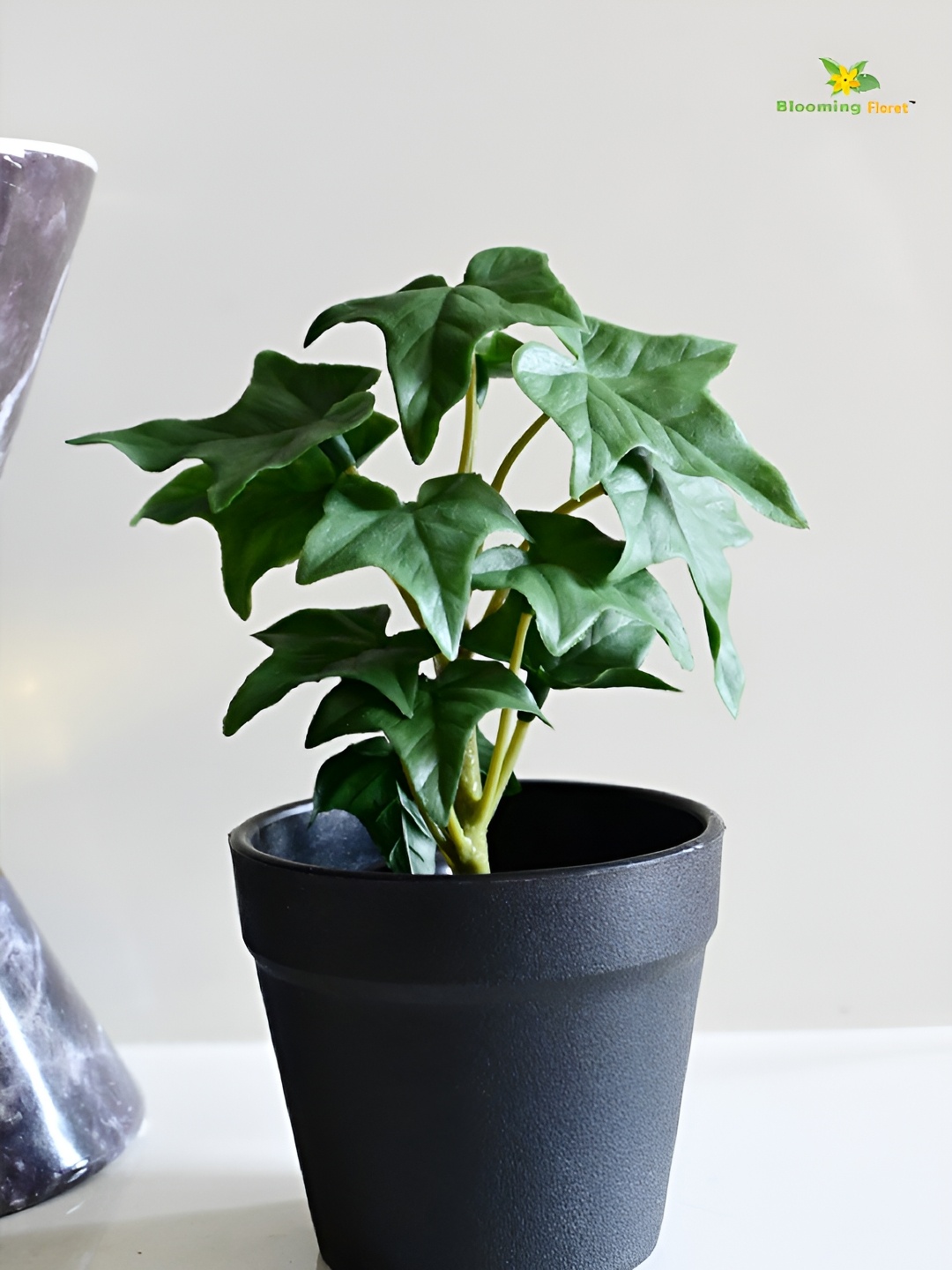

Blooming Floret Green & Black Ivy Faux Artificial Plant With Pot