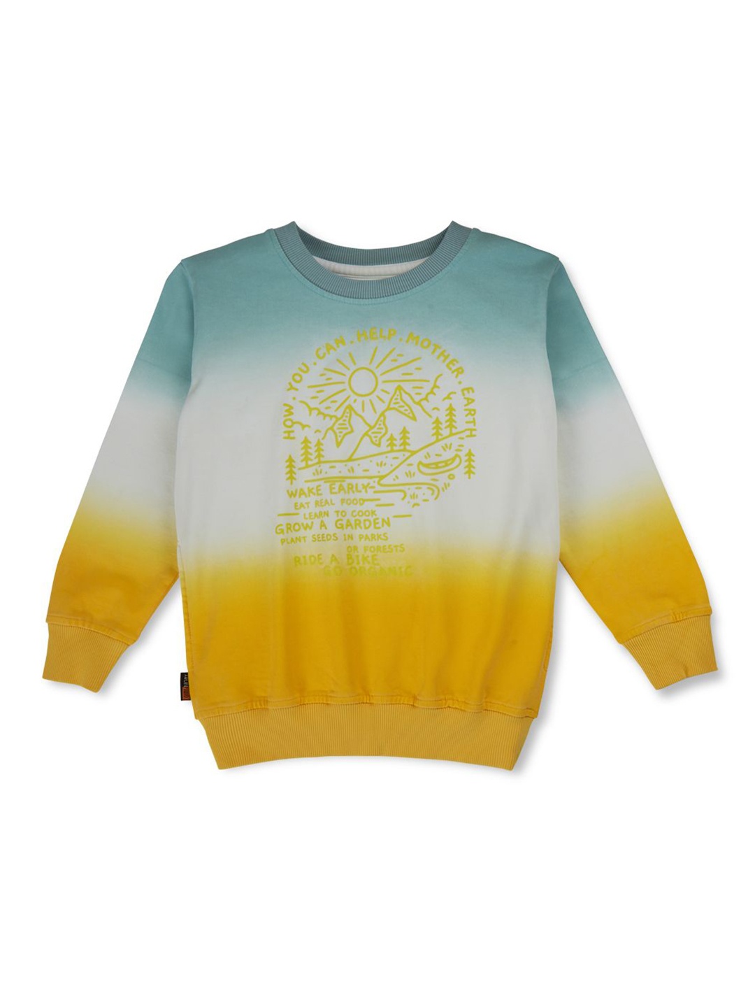 

Gini and Jony Boys Colourblocked Round Neck Cotton Pullover Sweatshirt, Yellow