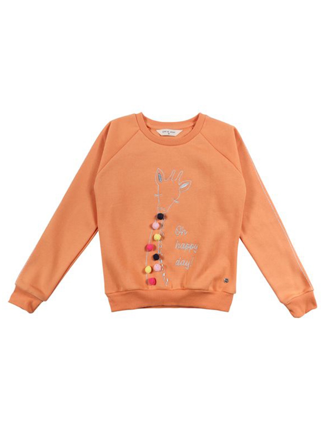 

Gini and Jony Girls Graphic Printed Round Neck Cotton Pullover Sweatshirt, Orange