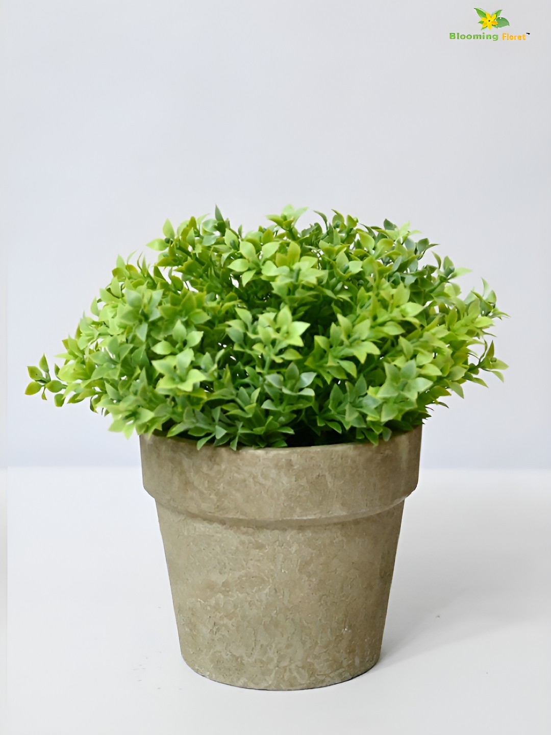 

Blooming Floret Green & Beige Artificial Plant With Pot