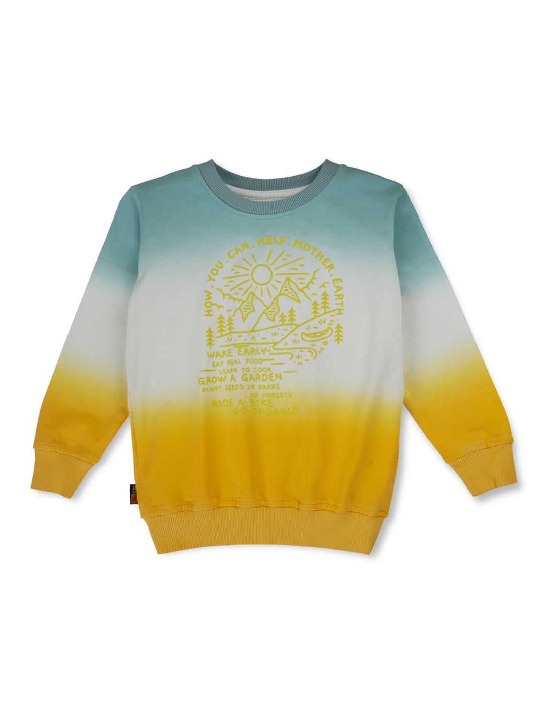 

Gini and Jony Boys Colourblocked Round Neck Cotton Pullover Sweatshirt, Yellow