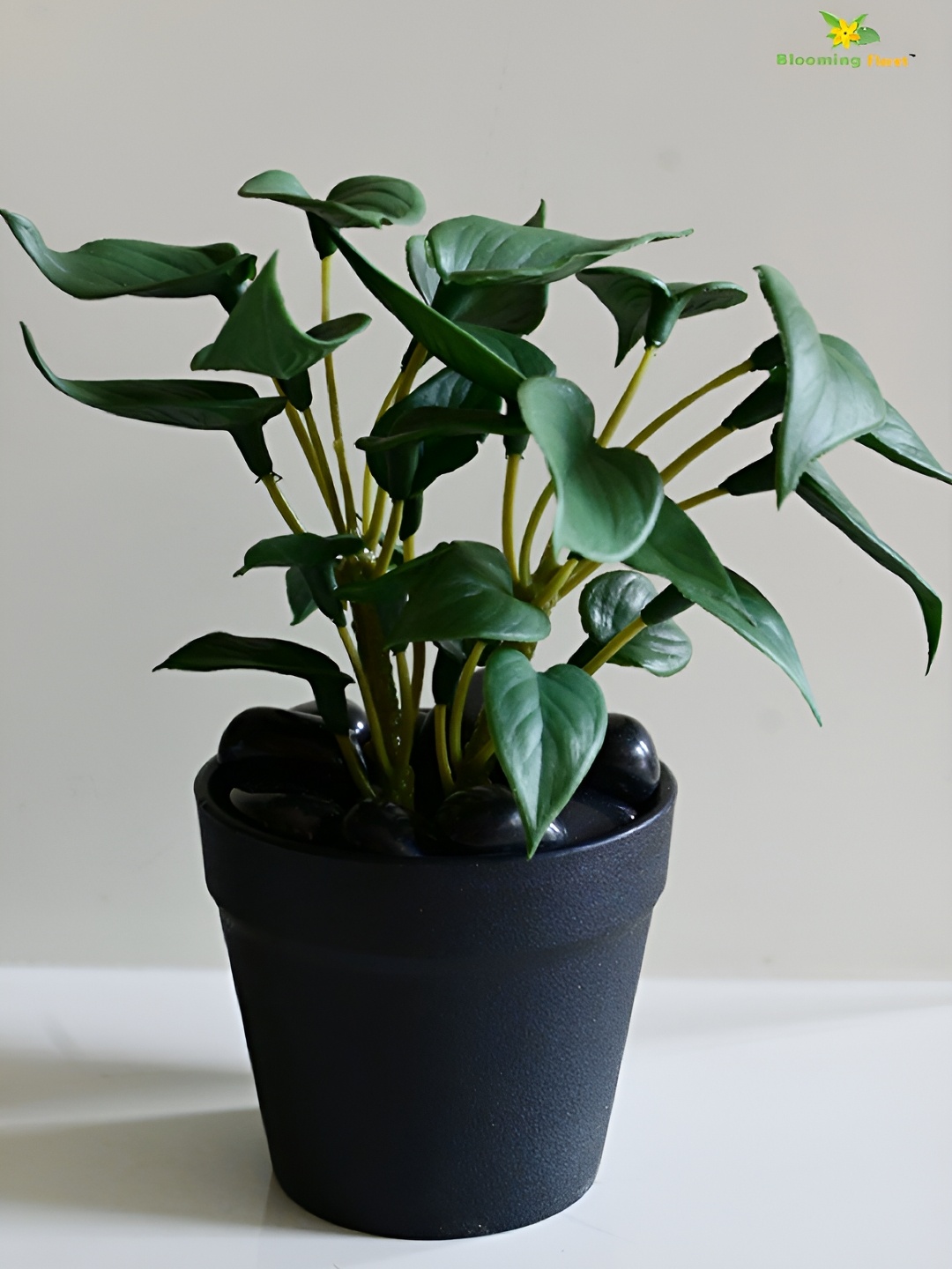 

Blooming Floret Green & Black Money Artificial Plant With Pot