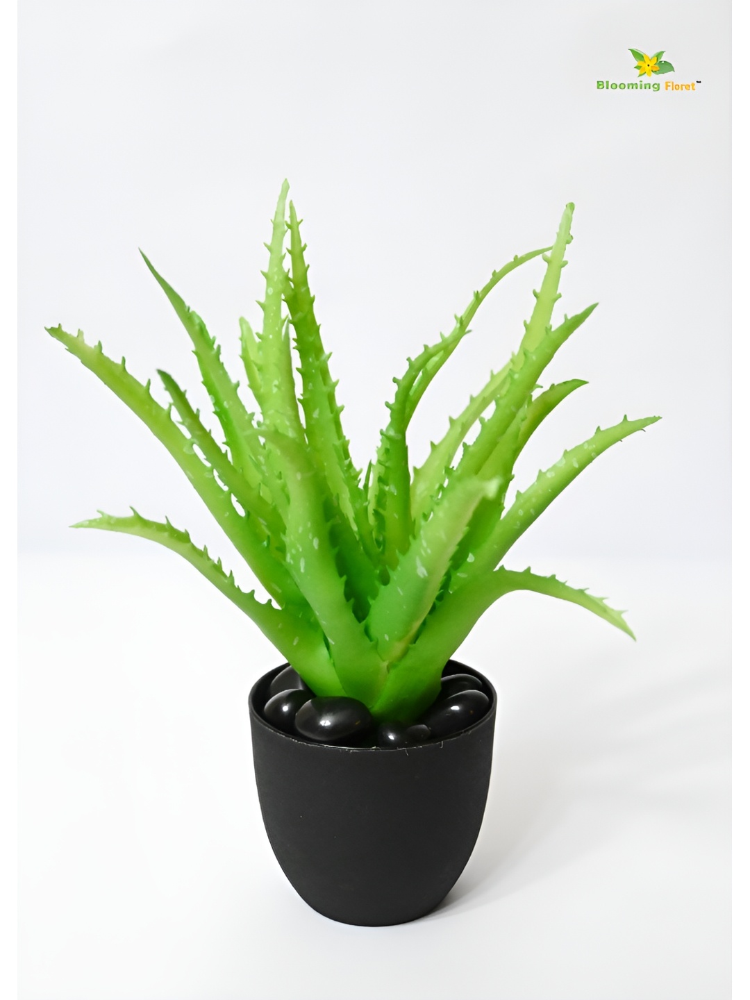 

Blooming Floret Green & Black Aloe Vera Artificial Plant With Pot