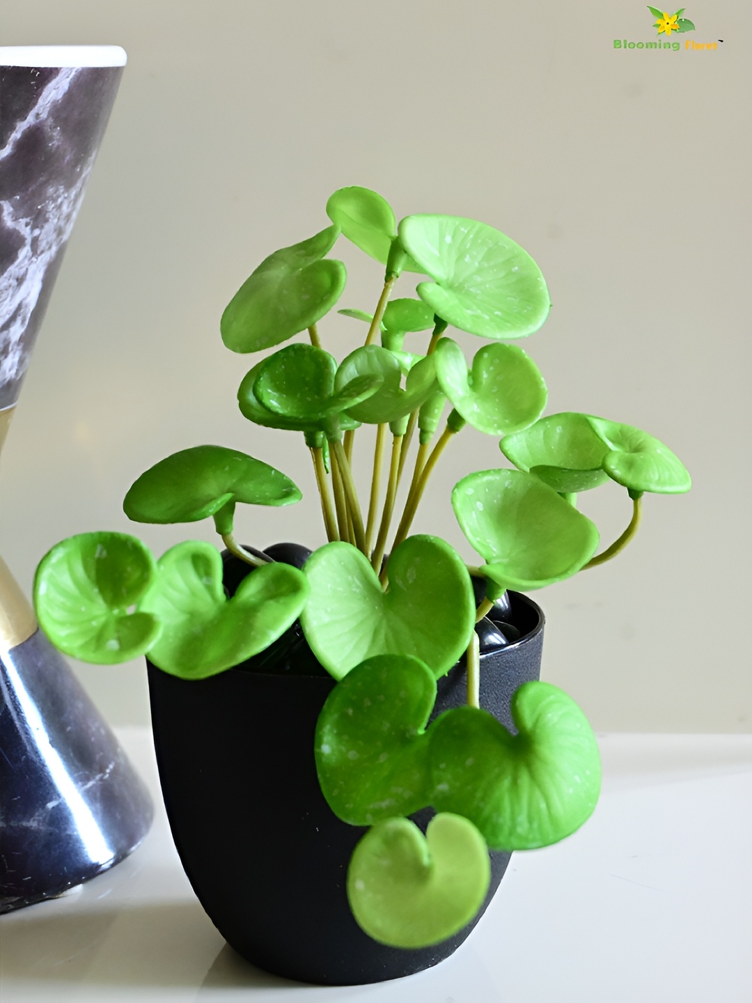 

Blooming Floret Green & Black Hydrocotyle Vulgaris Artificial Plant With Pot