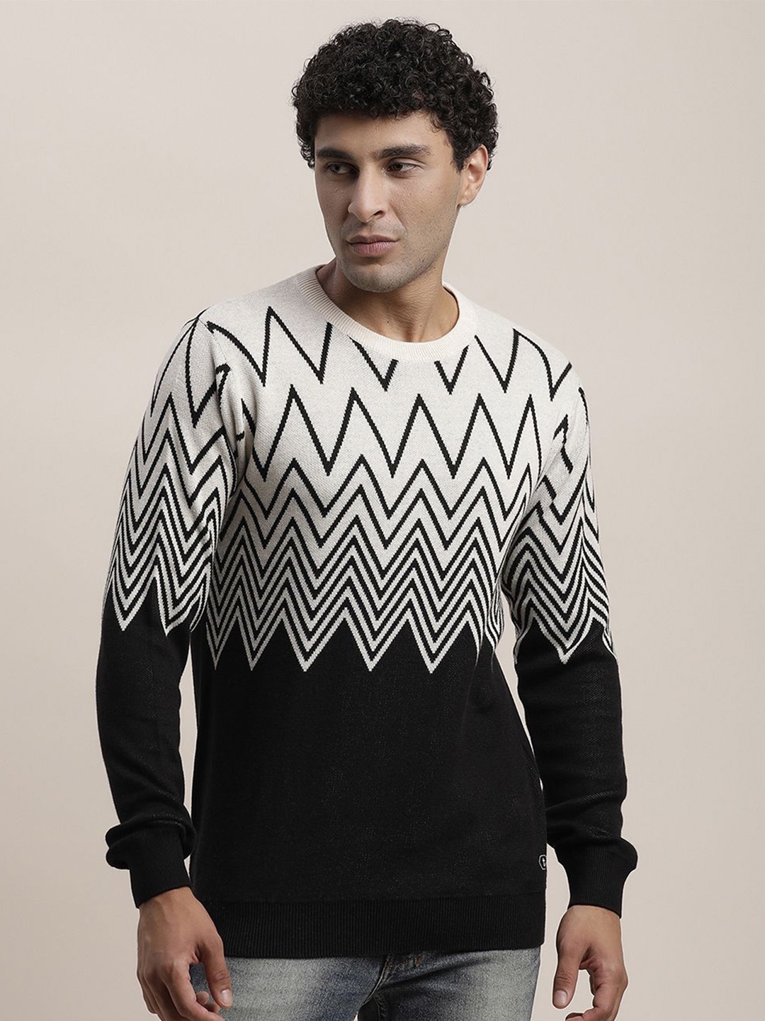 

Turtle Men Printed Pullover, Grey