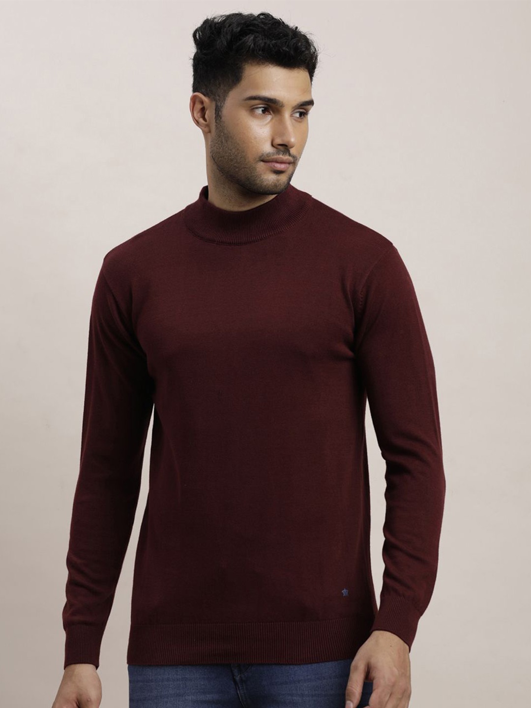 

Turtle Men Long Sleeves Pullover Sweater, Maroon