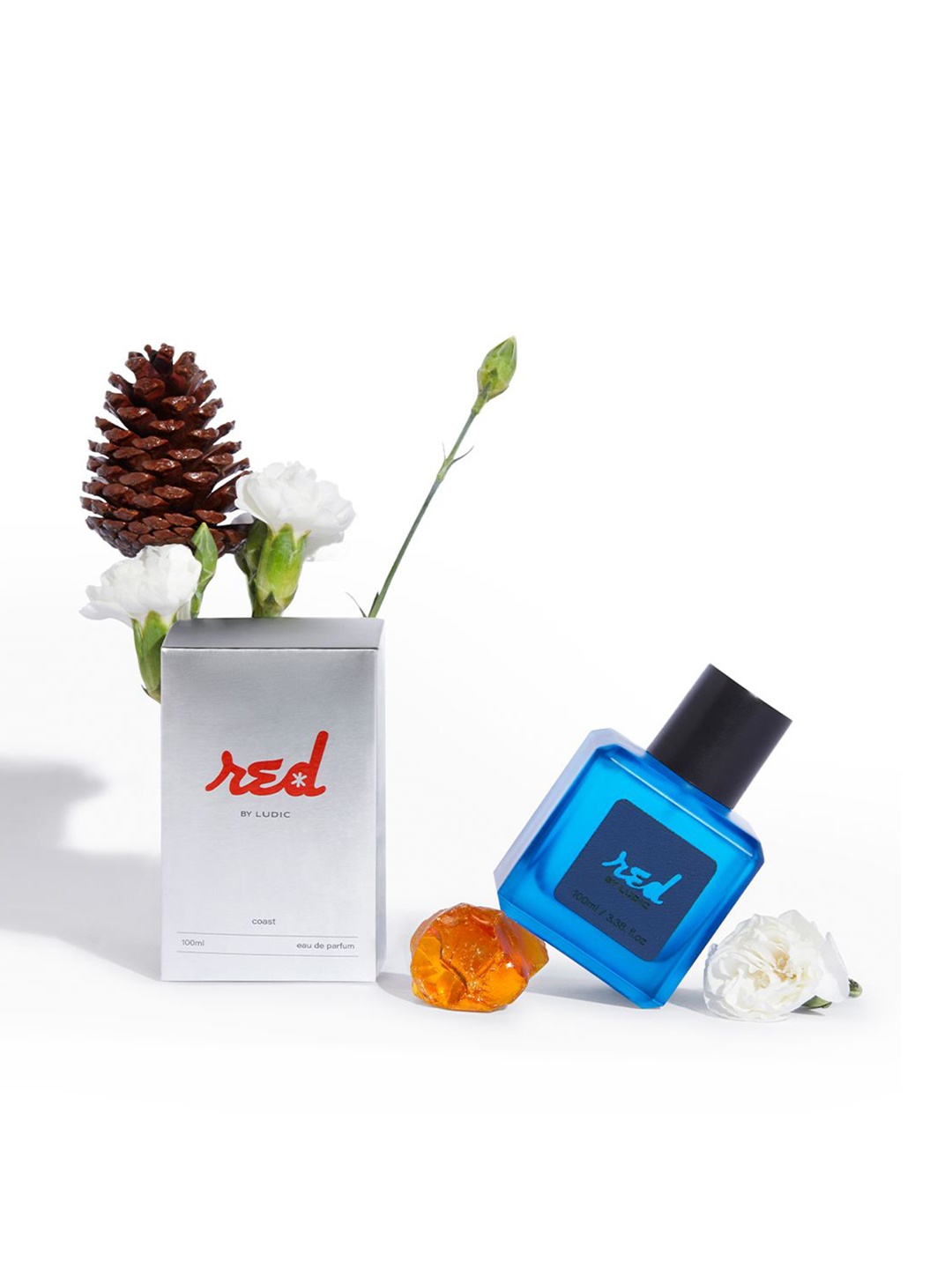 

Ludic Red Men Coast Long Lasting Eau De Parfum-100ml, Blue