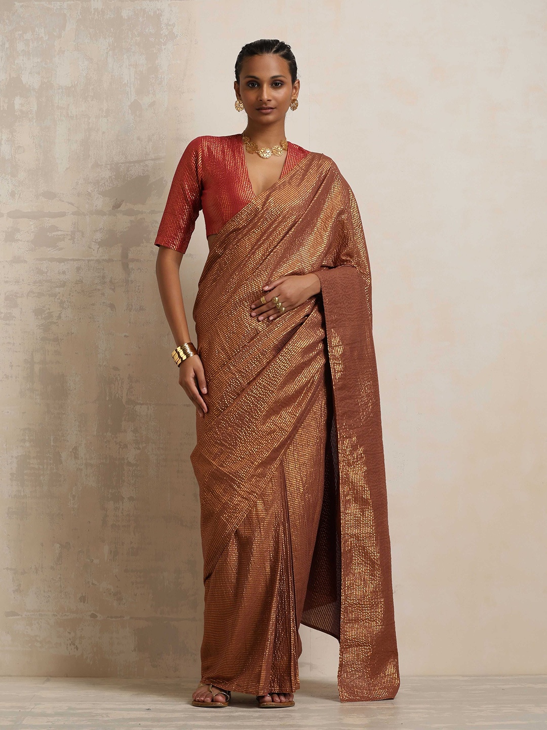 

trueBrowns Embellished Zari Saree, Brown