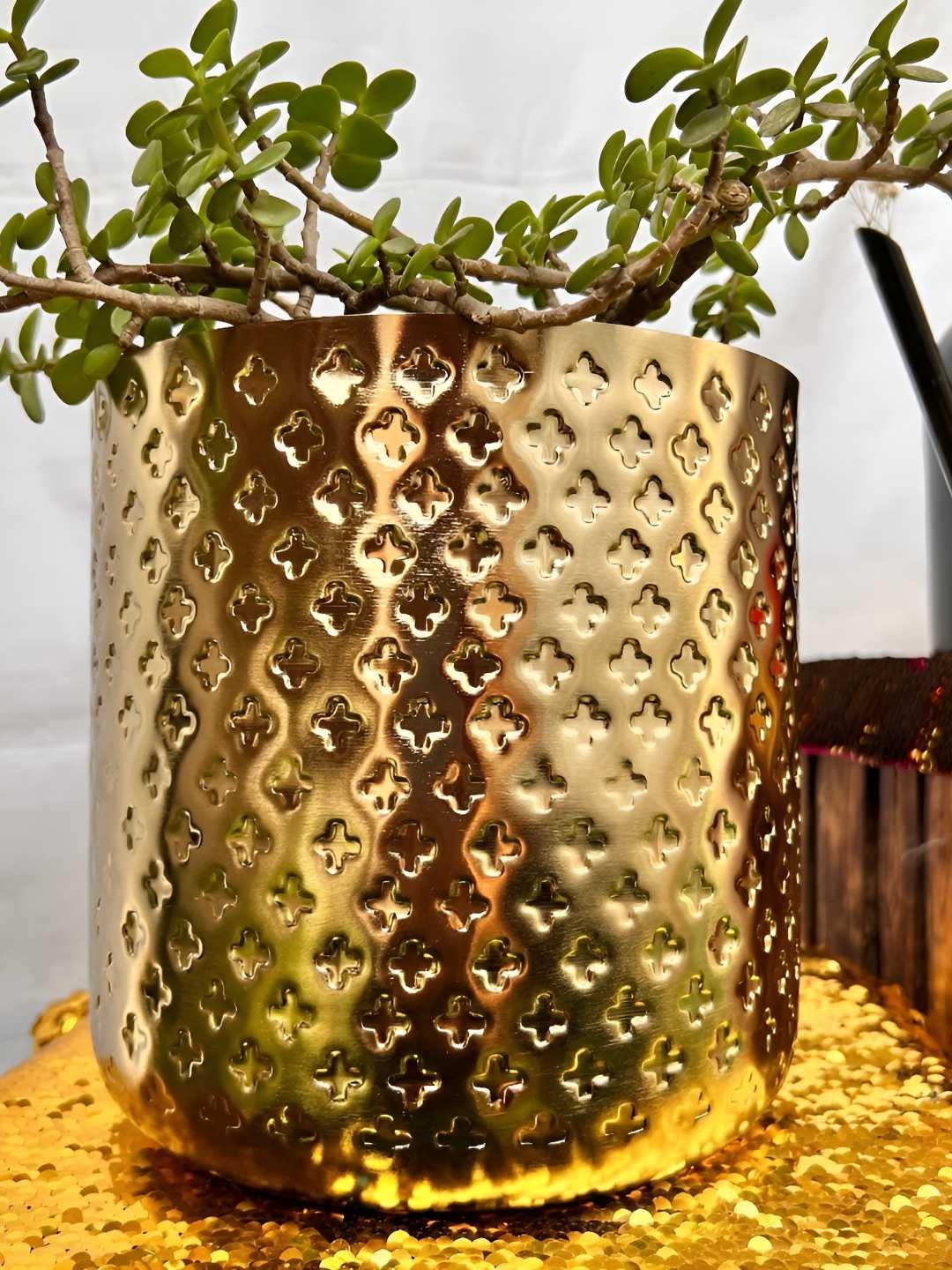 

Timaya's Decor Gold Toned Textured Club Planters