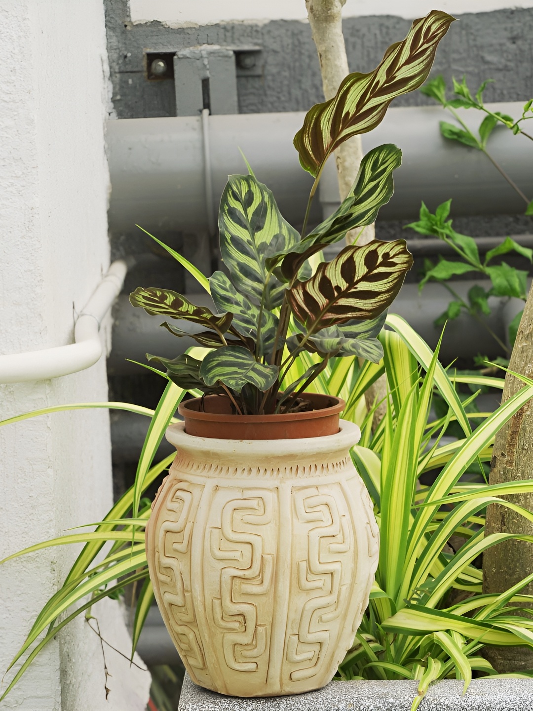 

Swadeh Geo Linea Clay Planter, Brown