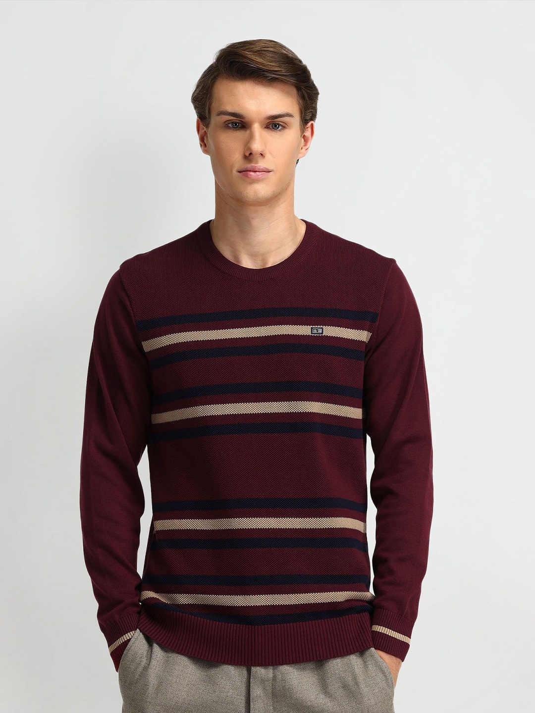 

Arrow Sport Men Striped Pullover, Red