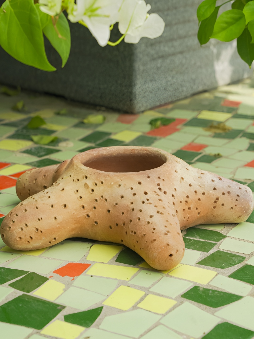 

Swadeh Celestial Starfish Clay Planter, Brown