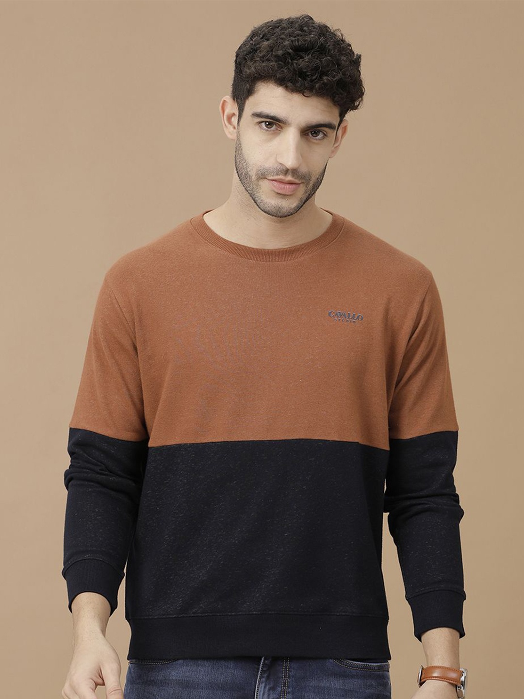 

CAVALLO by Linen Club Men Colourblocked Sweatshirt, Brown