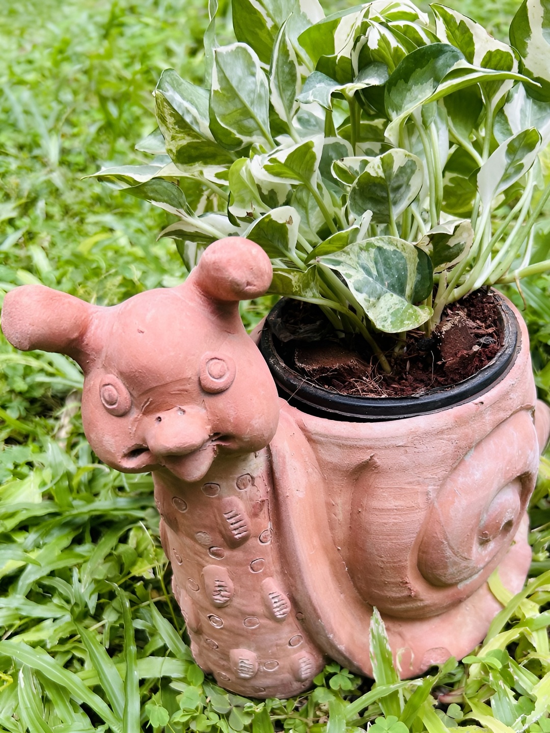 

Swadeh Brown Clay Snail Shaped Planter Pot