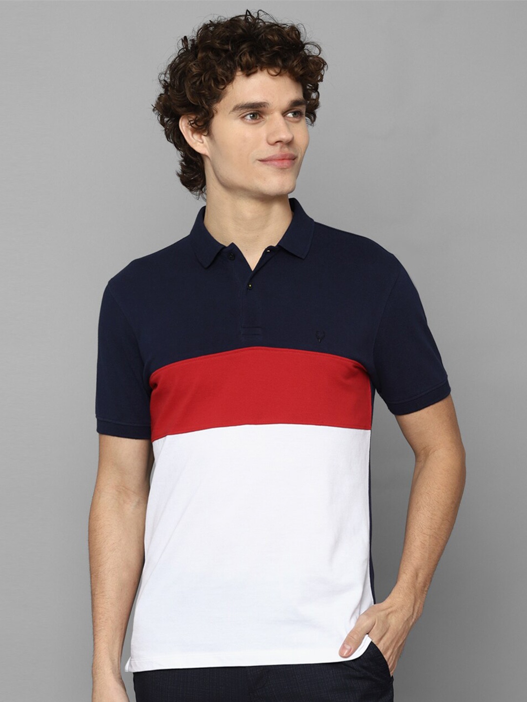 

Allen Solly Men Navy Blue & White Colourblocked Polo Collar T-shirt