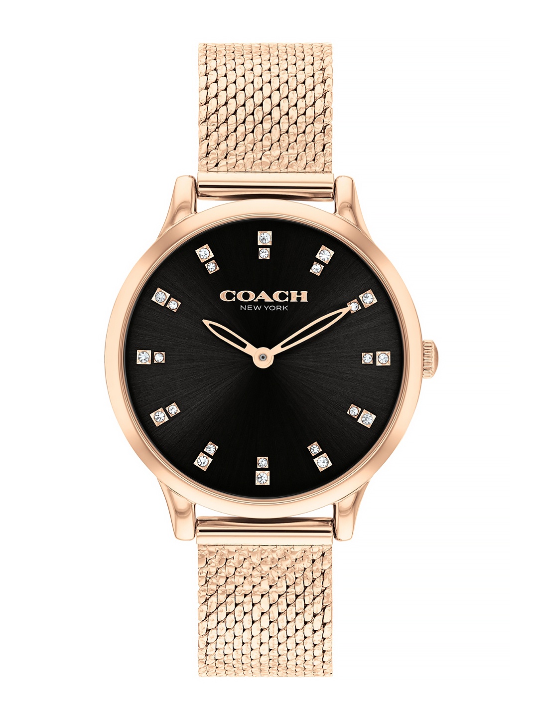 

Coach Women Chelsea Analogue Watch 14504217, Black