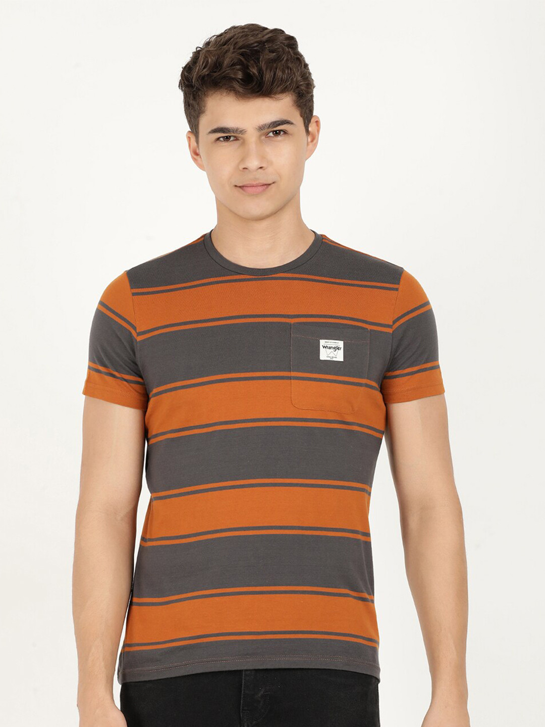 

Wrangler Men Striped Round Neck Cotton T-shirt, Grey