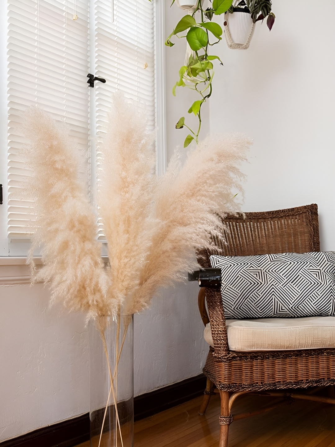 

TIED RIBBONS White & Beige 3 Pcs Natural Dried Flowers Pampas Grass for Corner Decoration