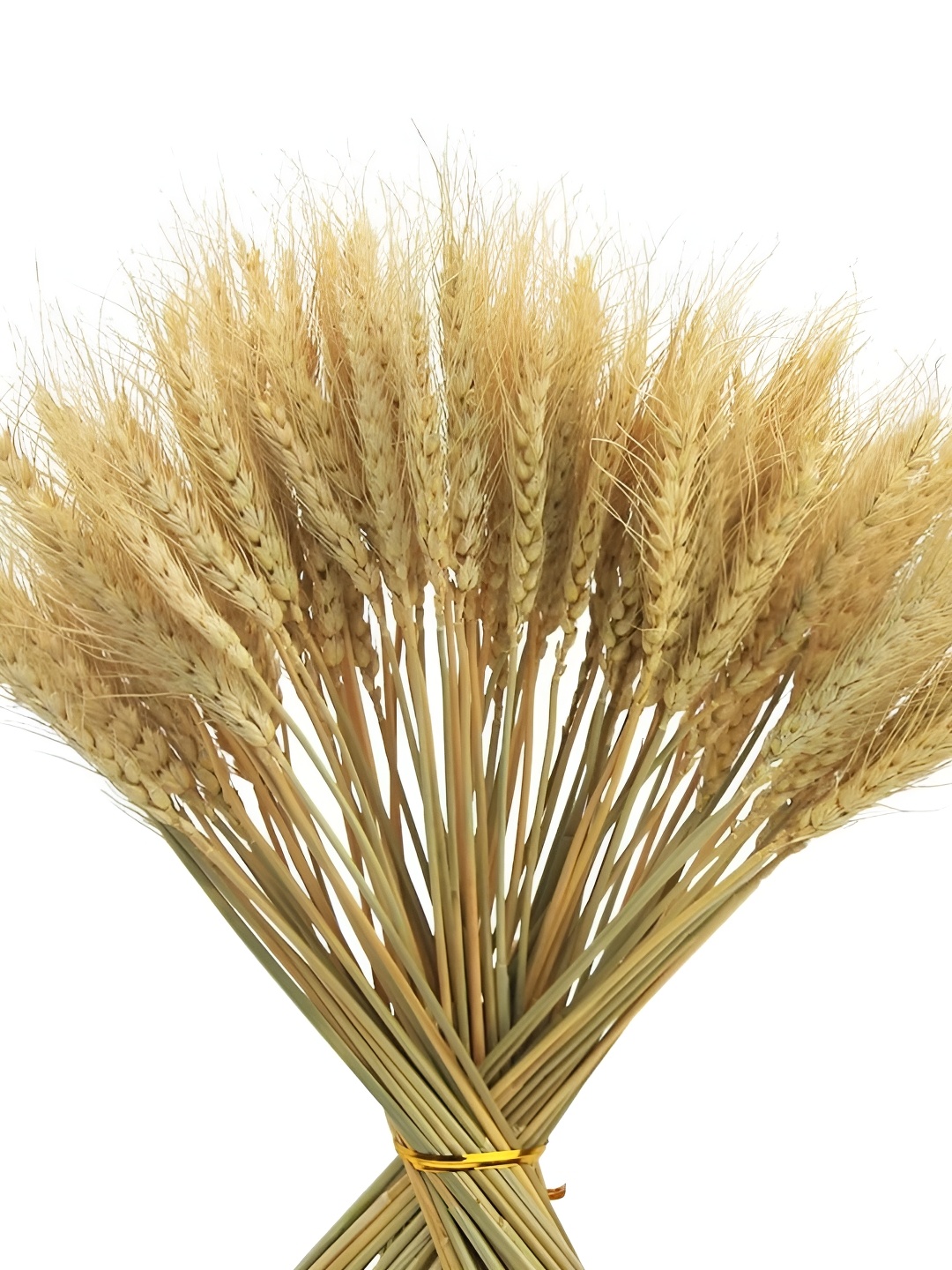 

TIED RIBBONS Brown 50 Pcs Artificial Dried Wheat Grass