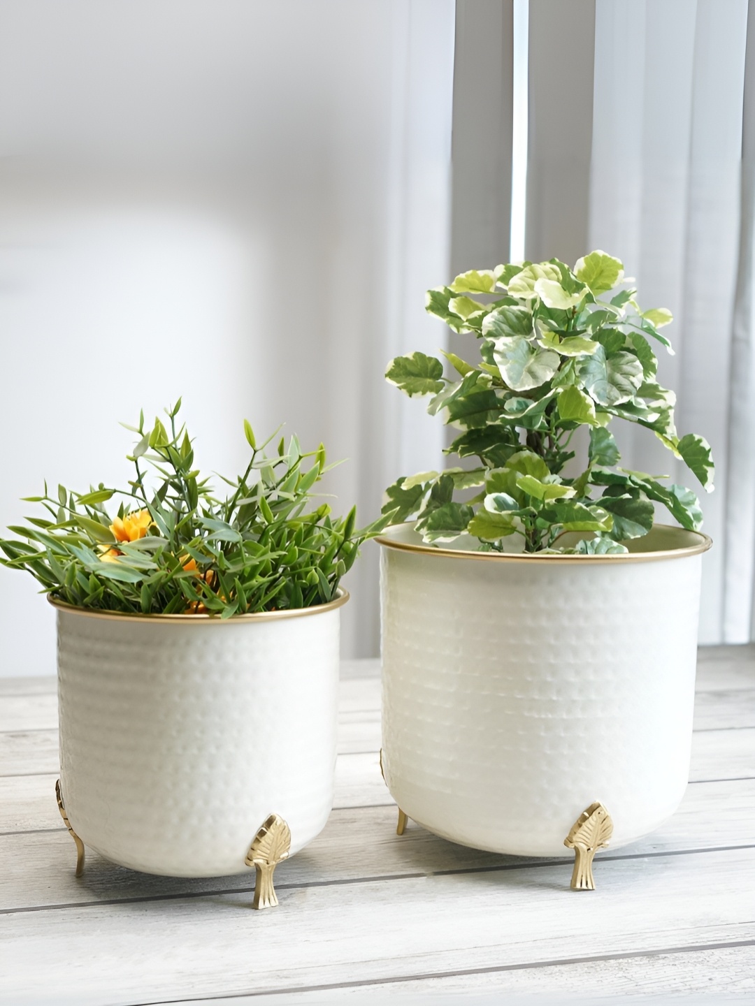 

BEHOMA White & Gold-Toned 2 Pieces Textured Hammered Leaf Leg Metal Planters