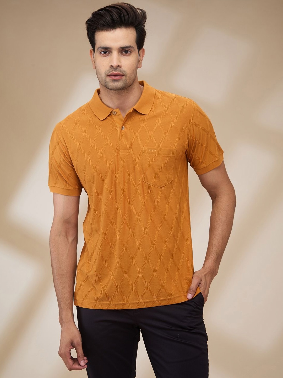 

ColorPlus Men Solid Polo Collar Cotton T-shirt, Yellow