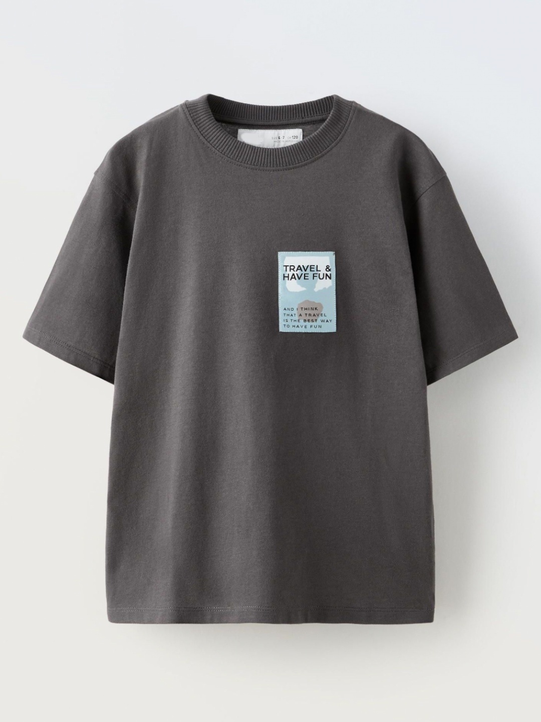 

Alan Jones Boys Graphic Printed Round Neck Cotton Relaxed Fit T-shirt, Grey