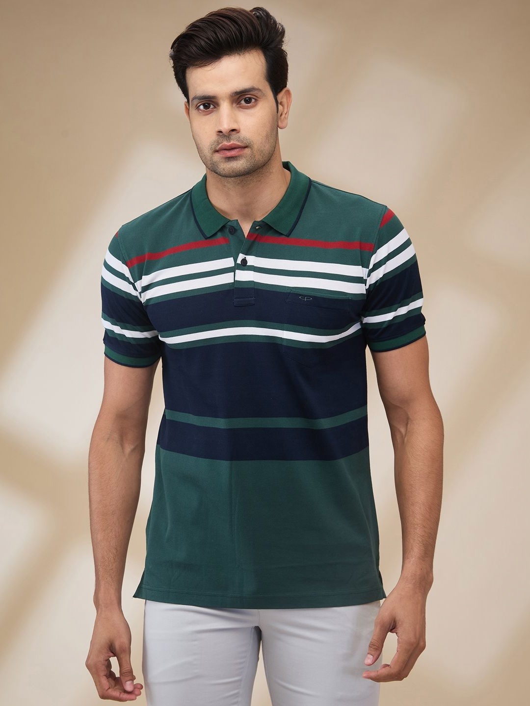 

ColorPlus Men Striped Polo Collar Cotton T-shirt, Green