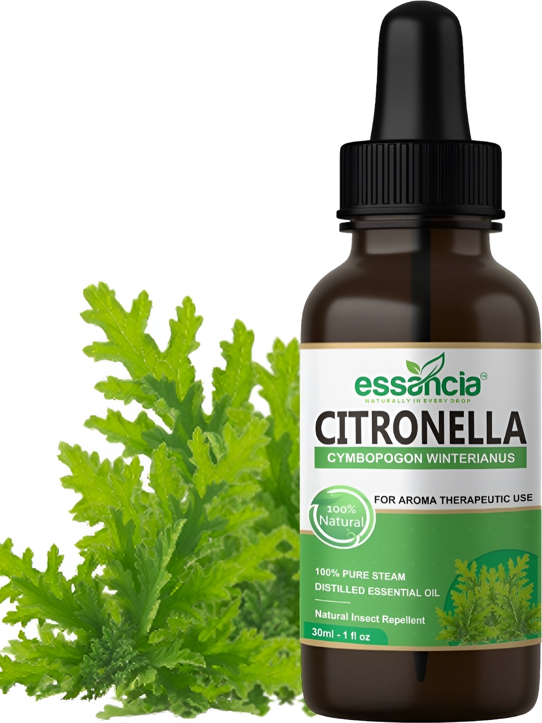 

essancia Citronella Essential Oil For Natural Insect Repellent - 30 ML, Green