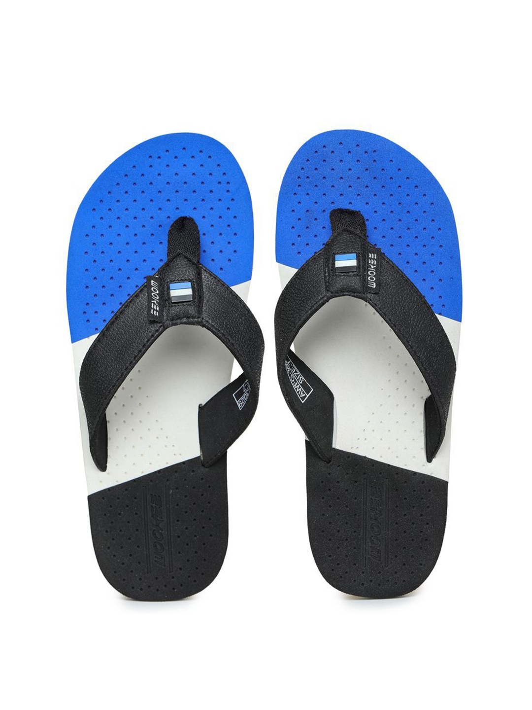 

ABROS Men Colourblocked Thong Flip-Flops, Blue