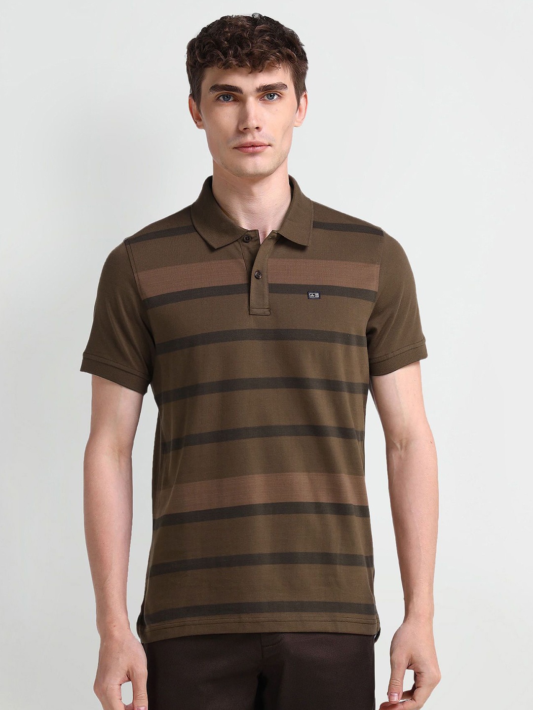 

Arrow Sport Men Striped Polo Collar Cotton T-shirt, Brown