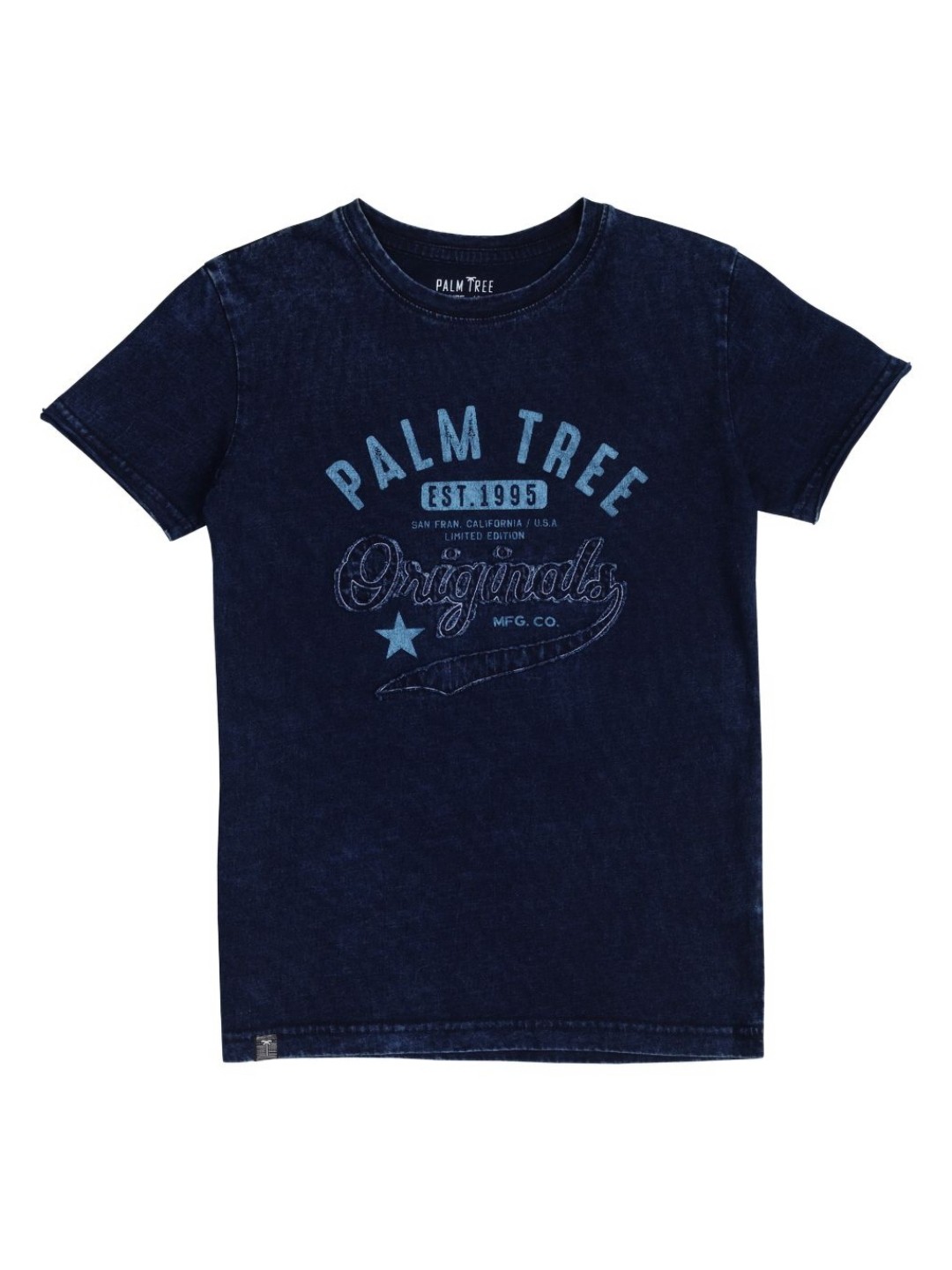 

Palm Tree Boys Typography Printed Round Neck Cotton T-Shirt, Blue