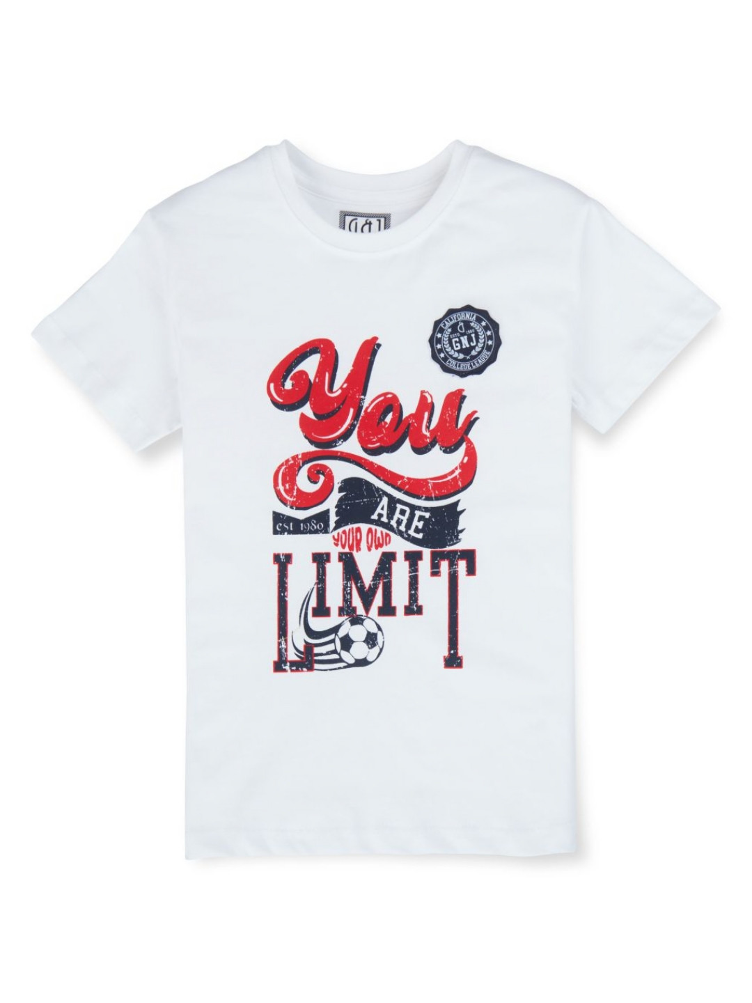 

Gini and Jony Boys Typography Printed Round Neck Cotton T-shirt, White